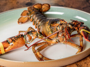Lobster ( live local fresh) ($13.99/ lb)